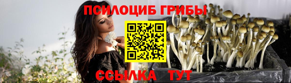 Галлюциногенные грибы мицелий  Вход с VPN  Псилоцибиновые грибы прущие грибы  Можайск 